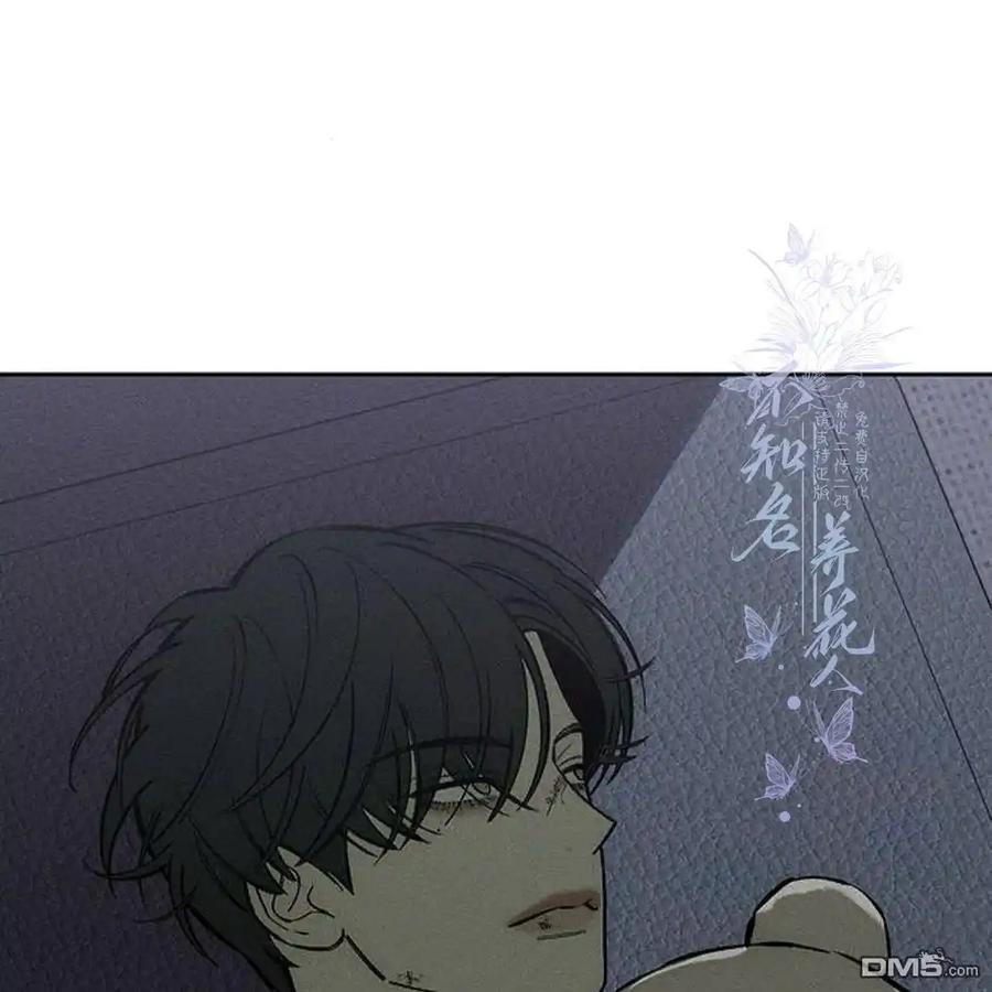 第184页