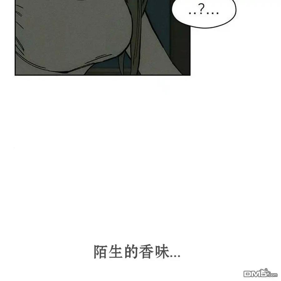第204页