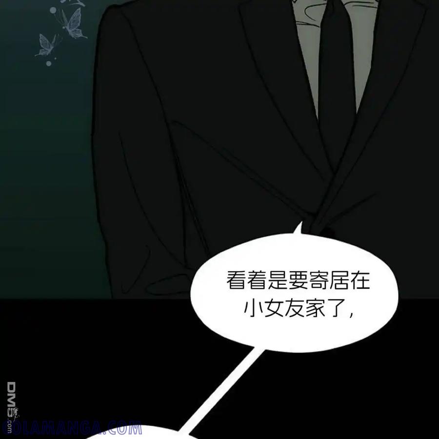 第213页