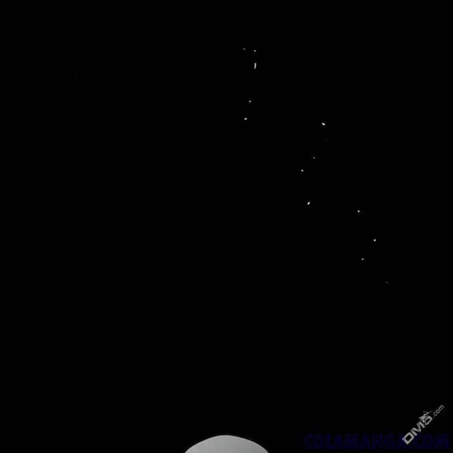 第217页