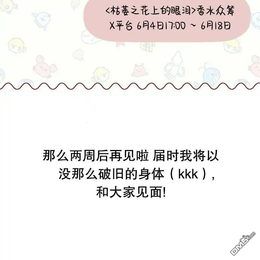 第242页