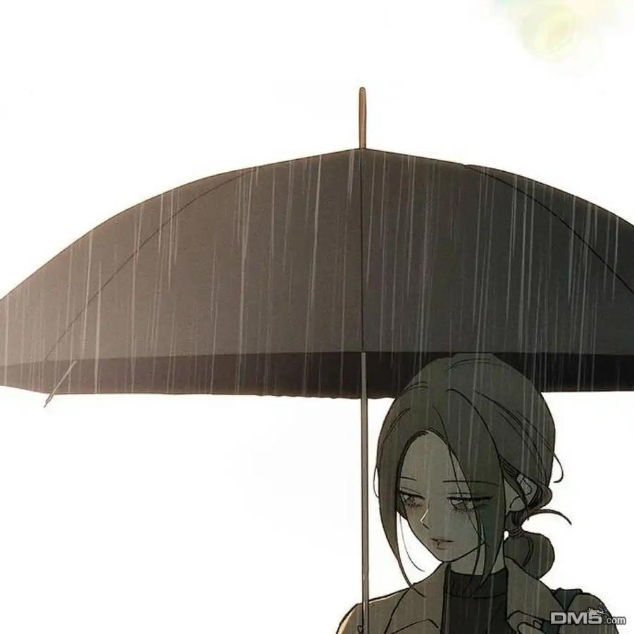第215页