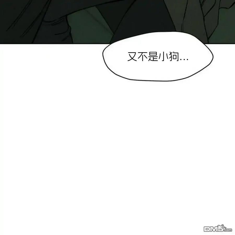 第204页