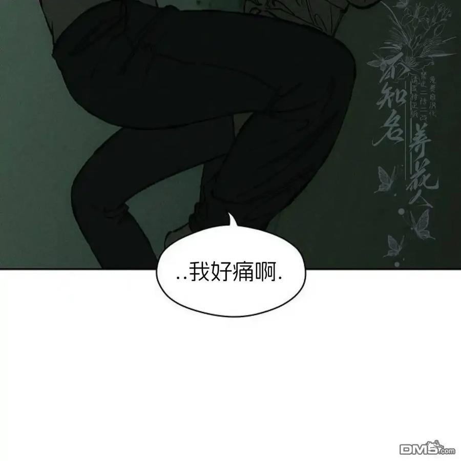 第207页