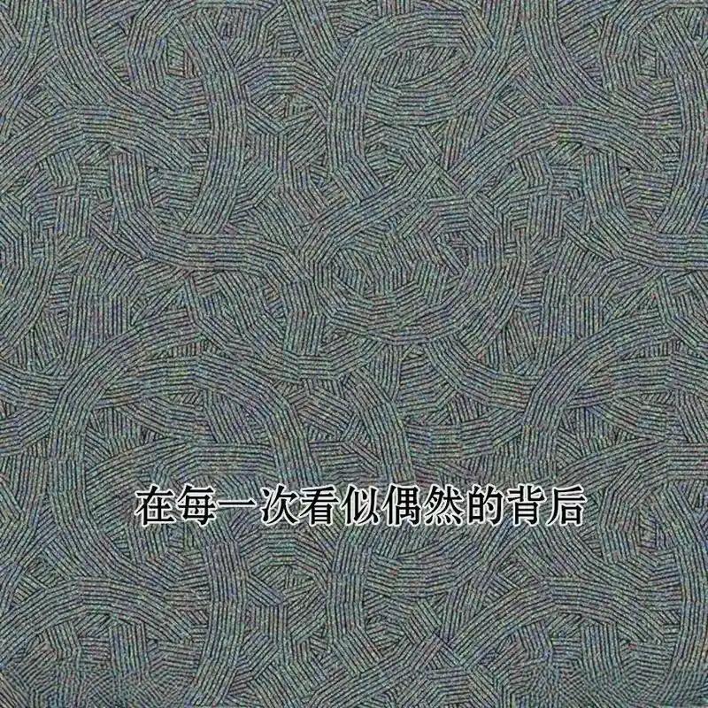 第194页