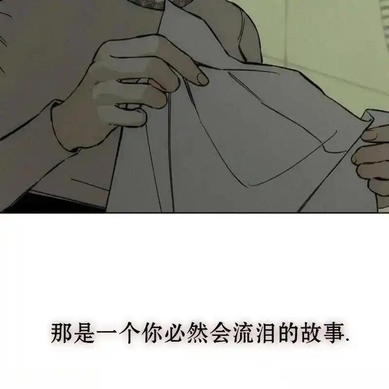 第223页