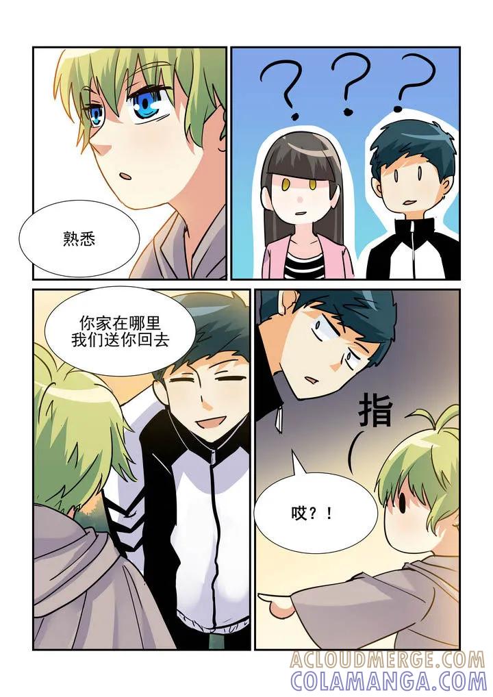 第5页