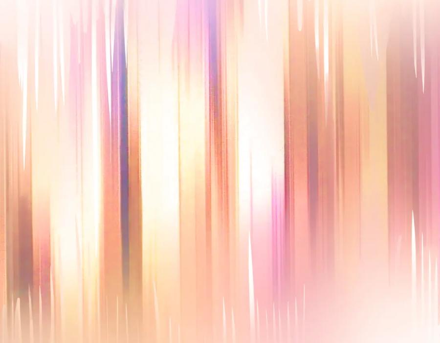 第195页