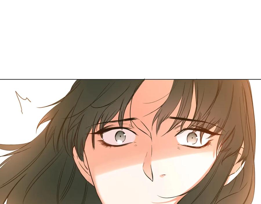 第236页