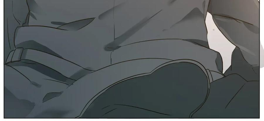 第242页