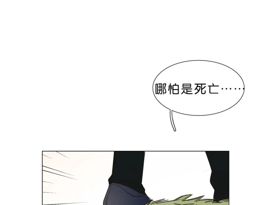 第260页