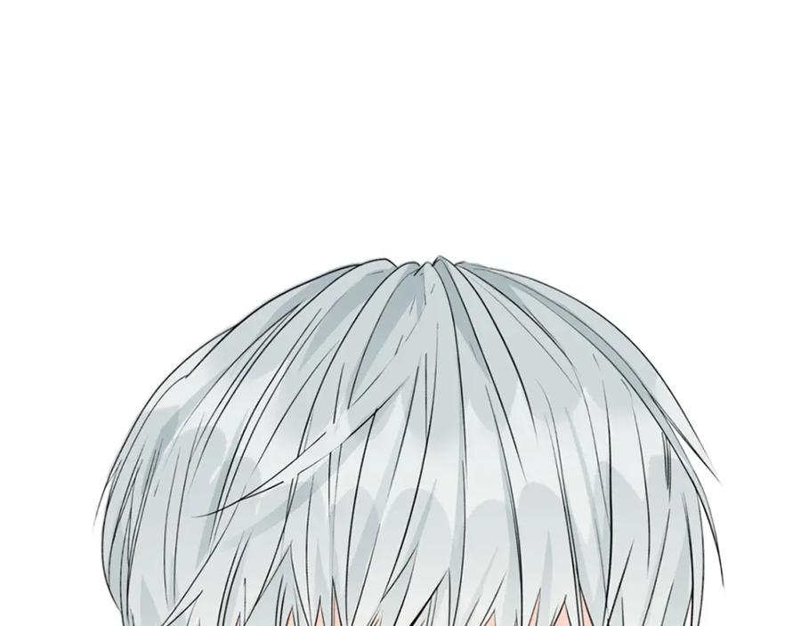 第224页