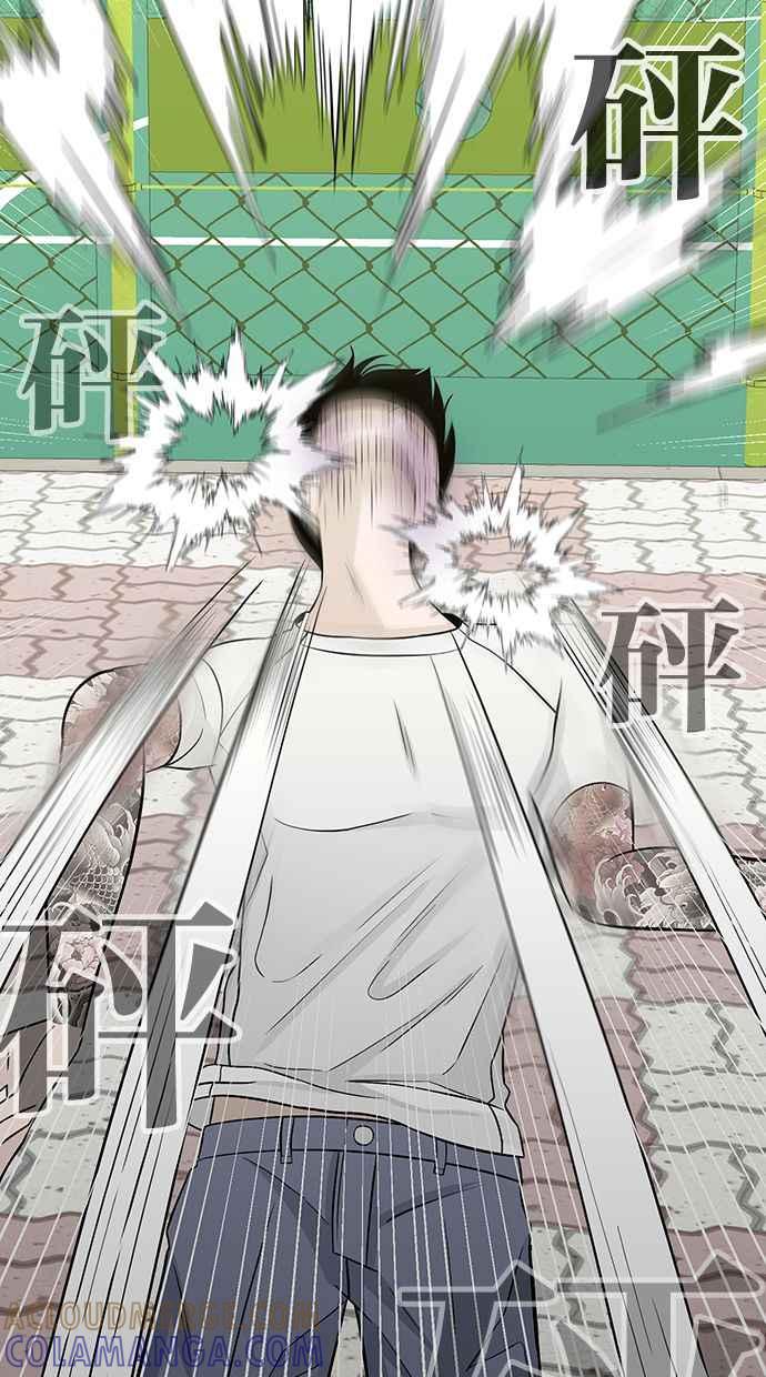 第237页