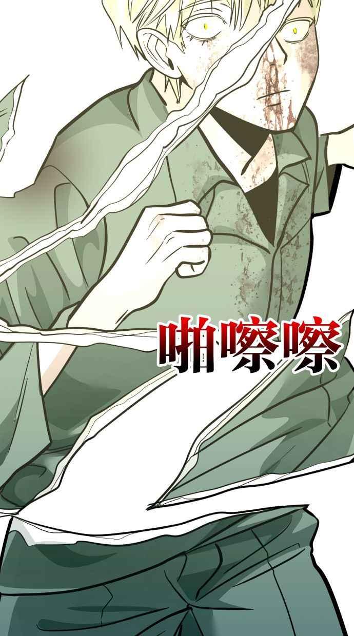 第202页