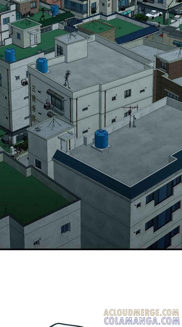 第241页