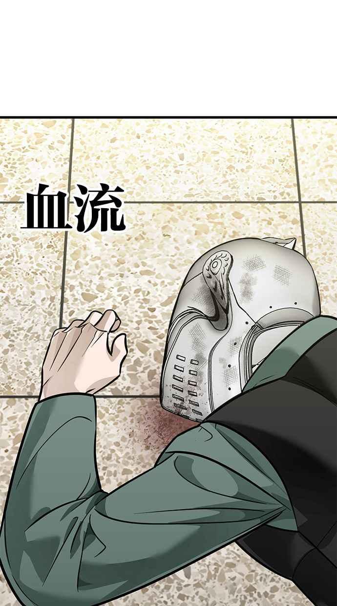 第204页