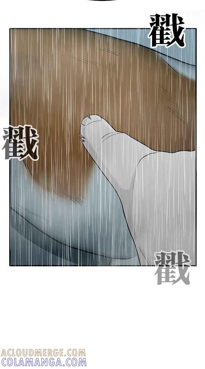 第225页