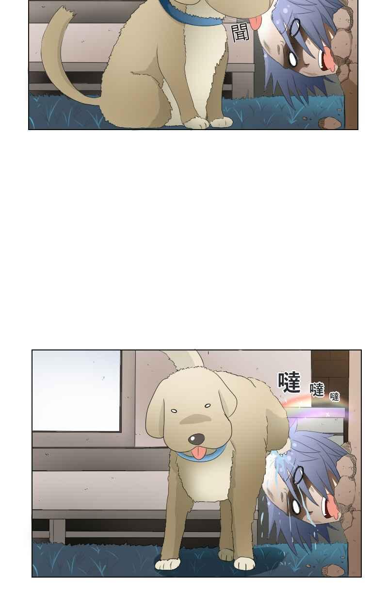 第42页