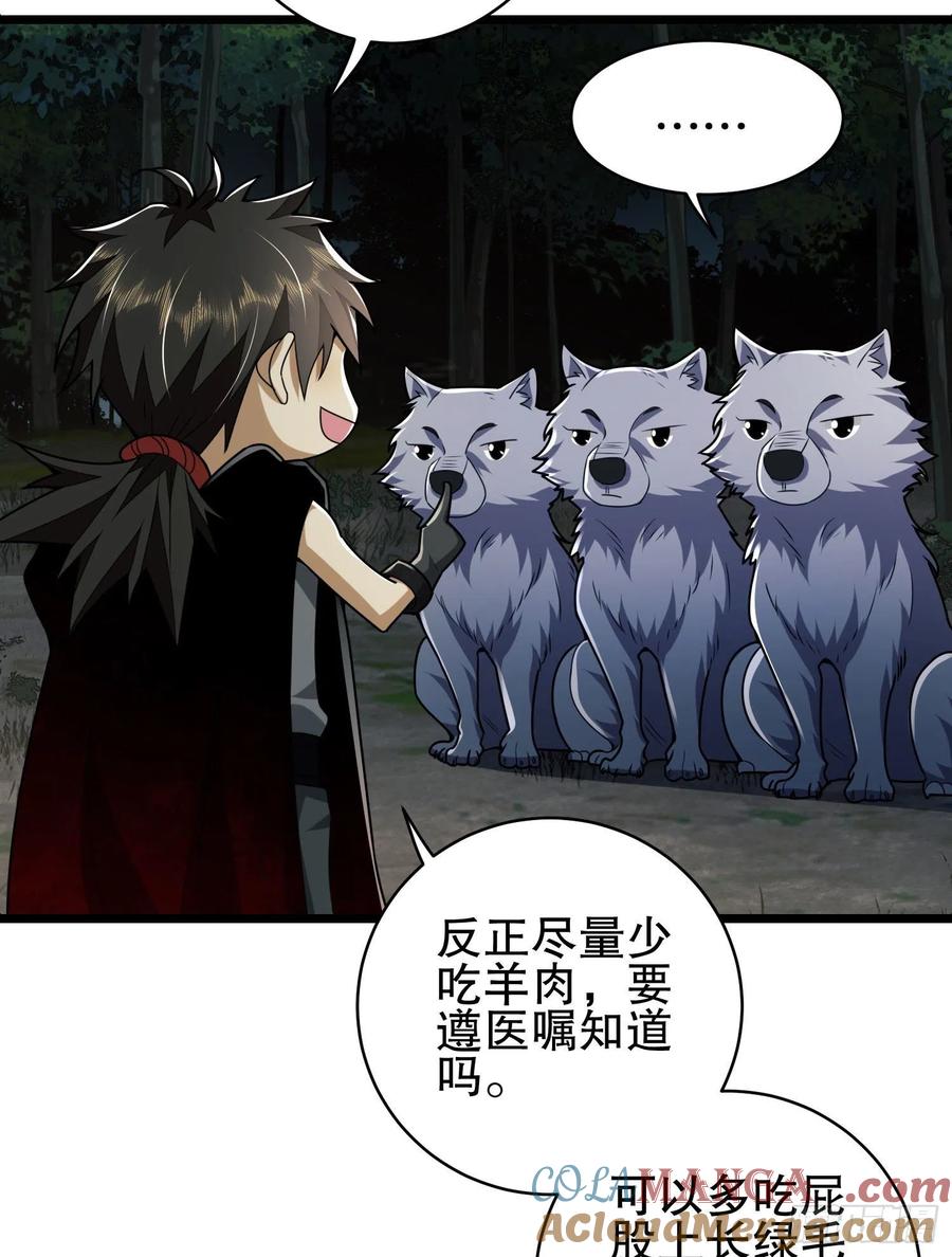 第55页