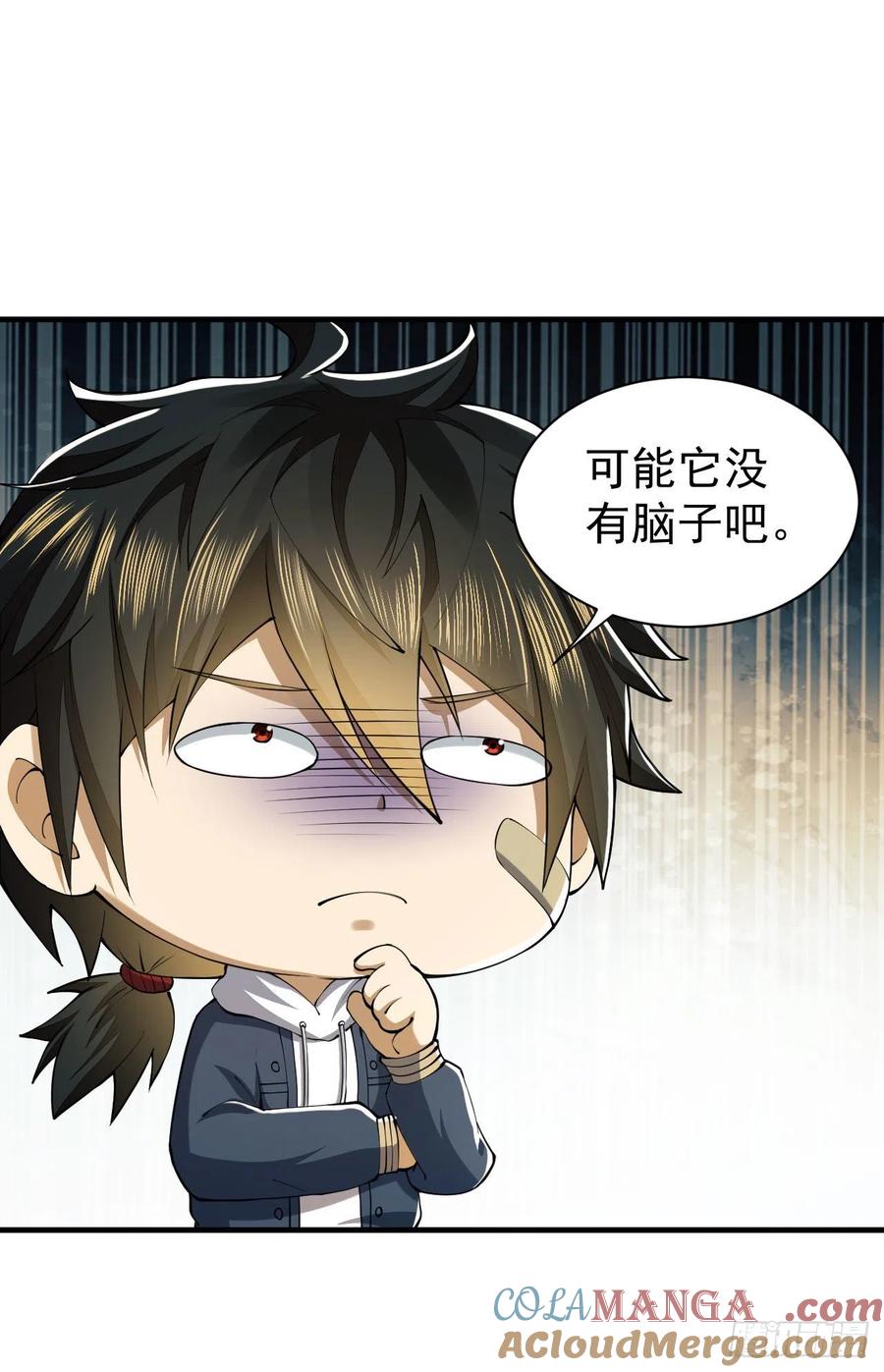 第55页