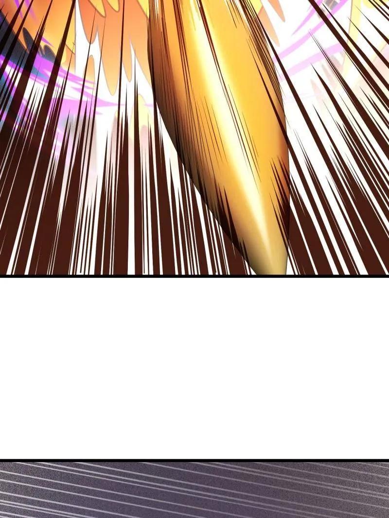 第202页