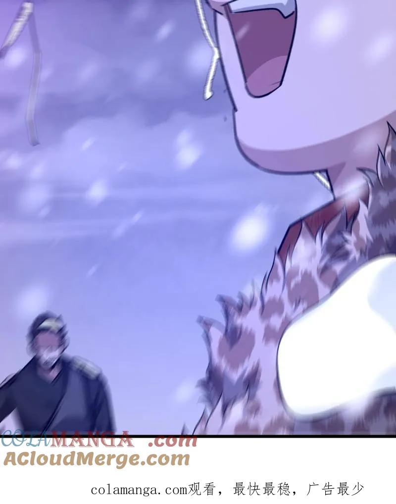 第217页