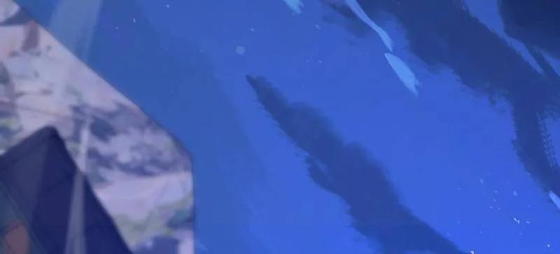 第170页