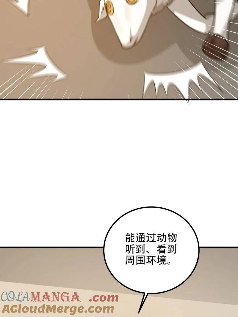 第185页