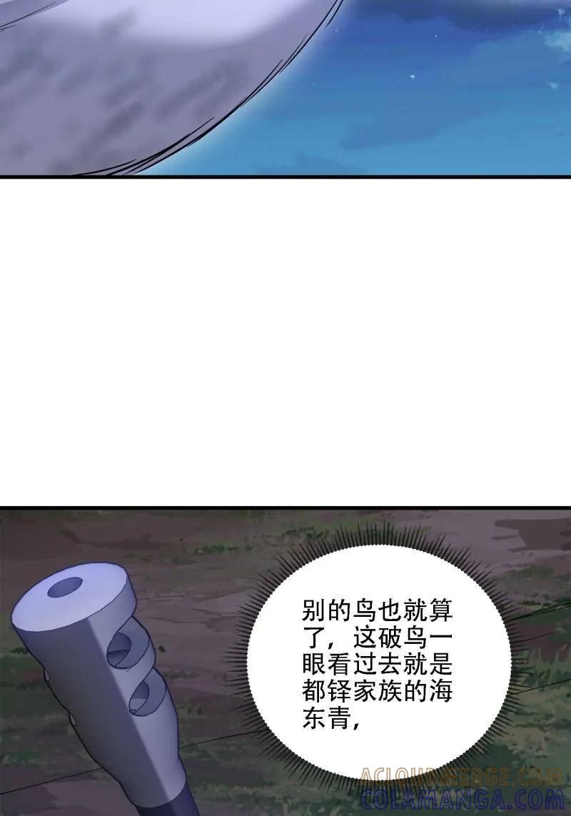 第185页