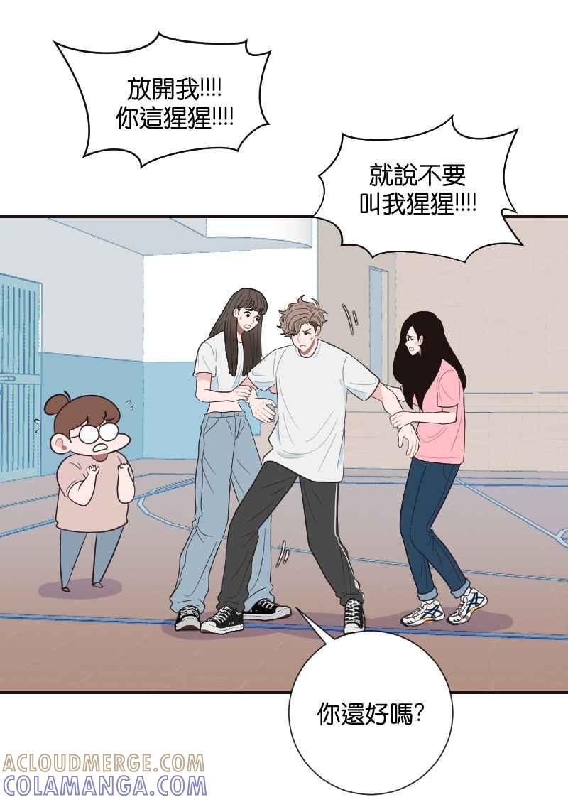 第55页