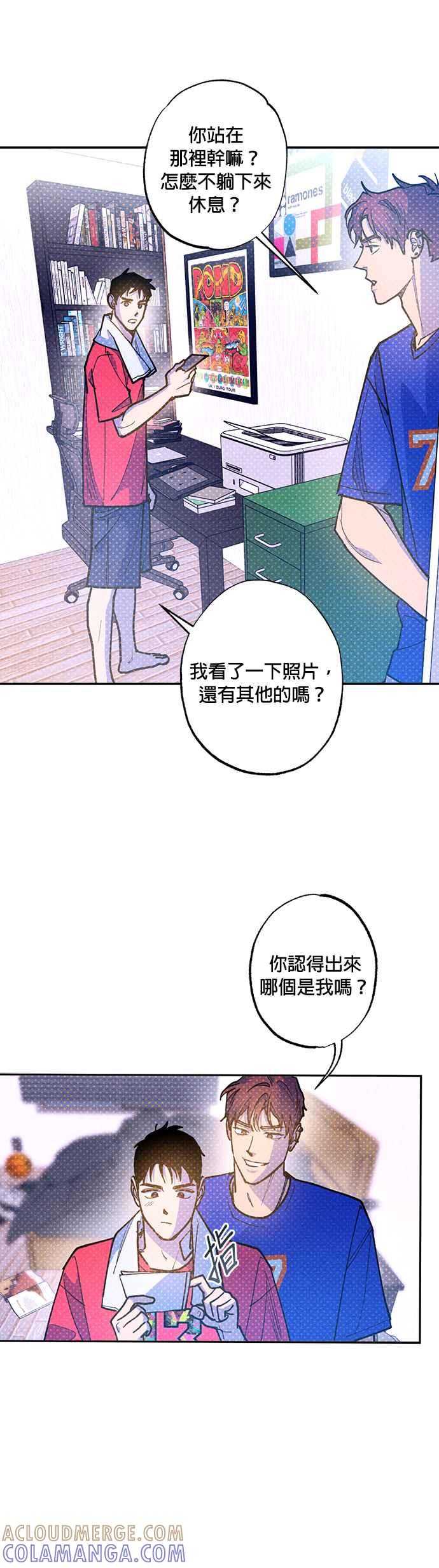第31页