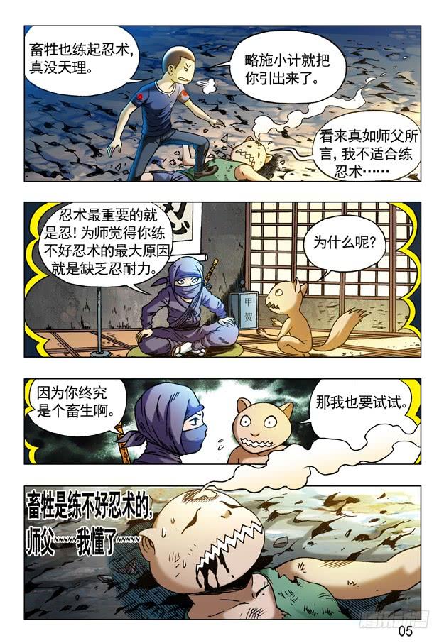 第5页