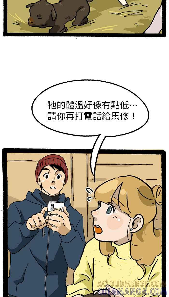 第55页