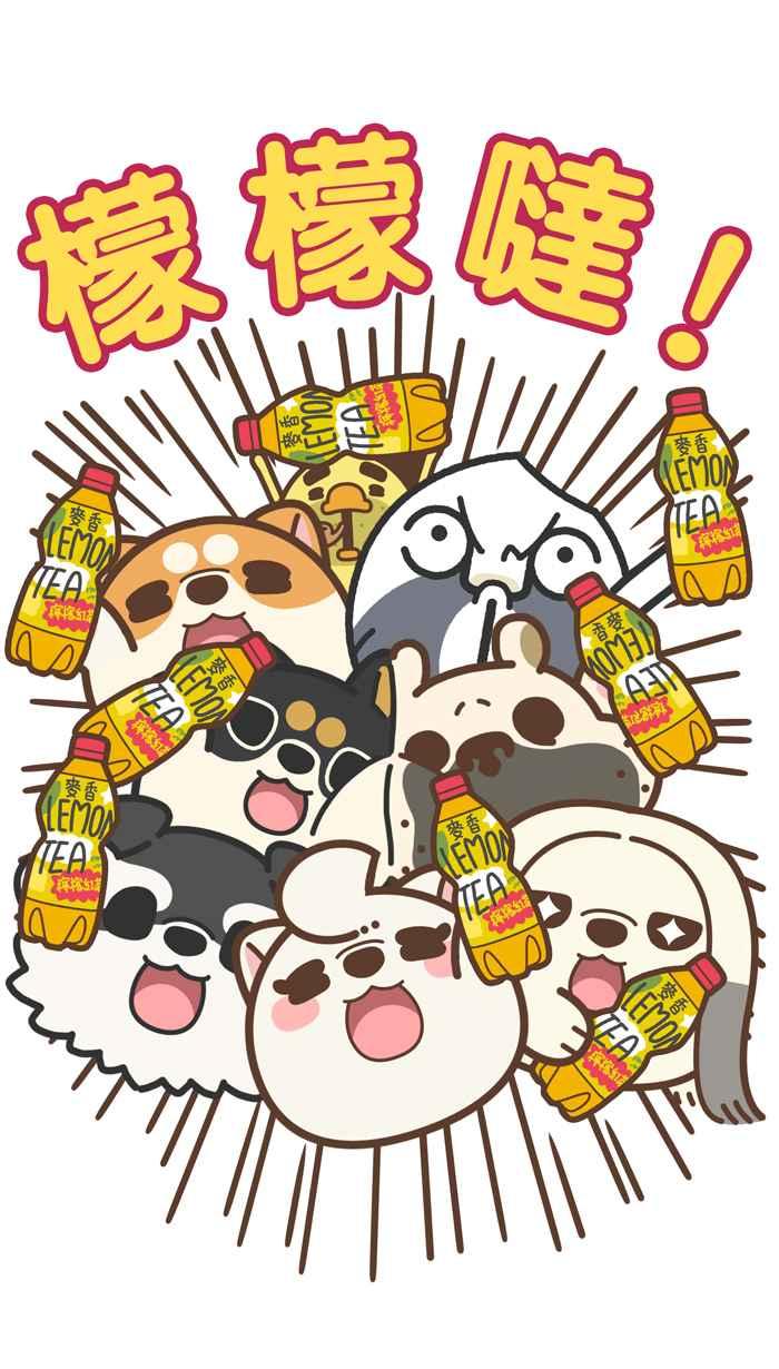 第47页