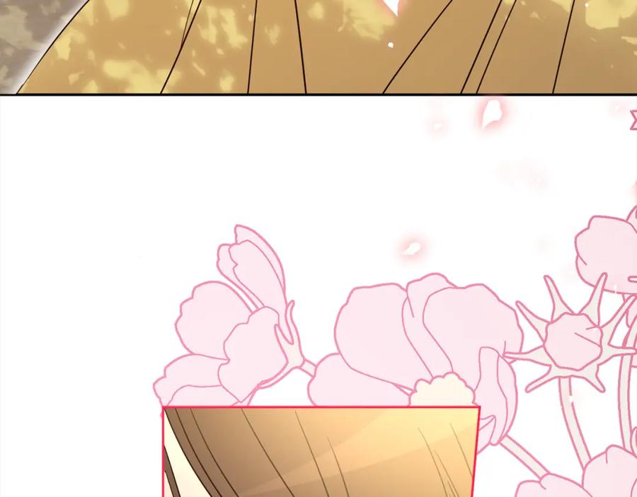 第246页