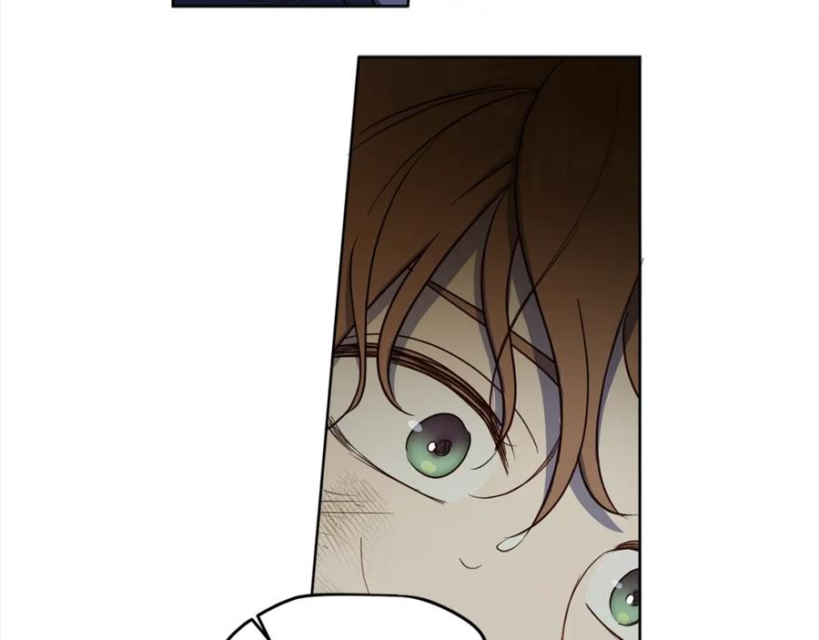 第215页
