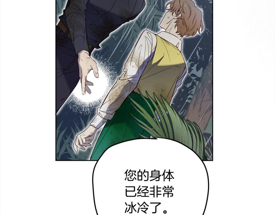 第231页