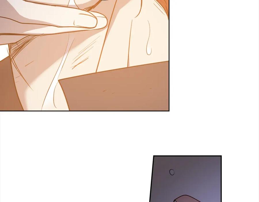 第223页