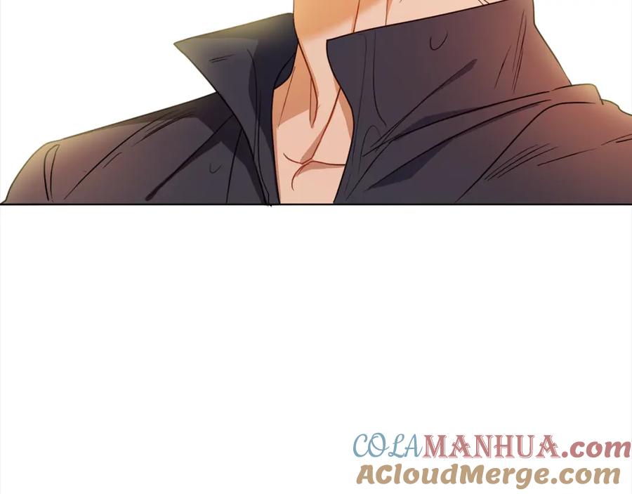 第241页