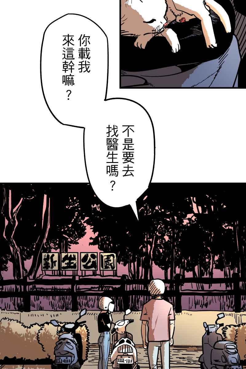第39页