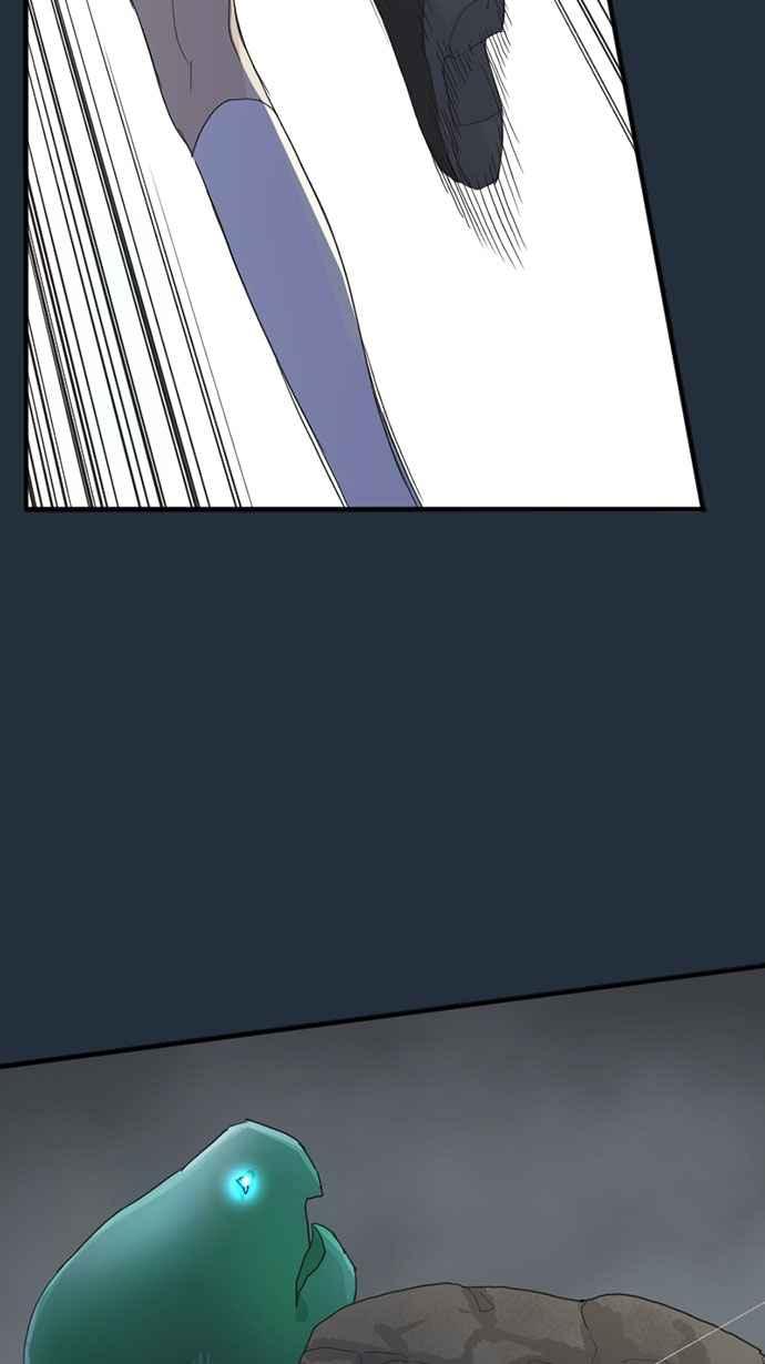 第204页