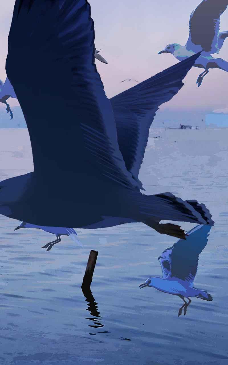 第44页
