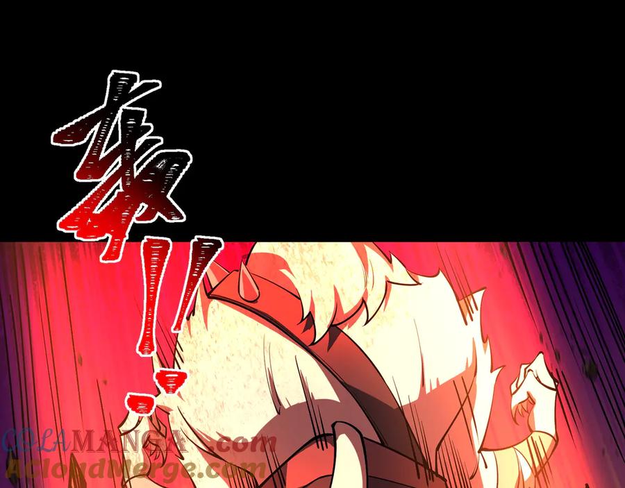 第205页