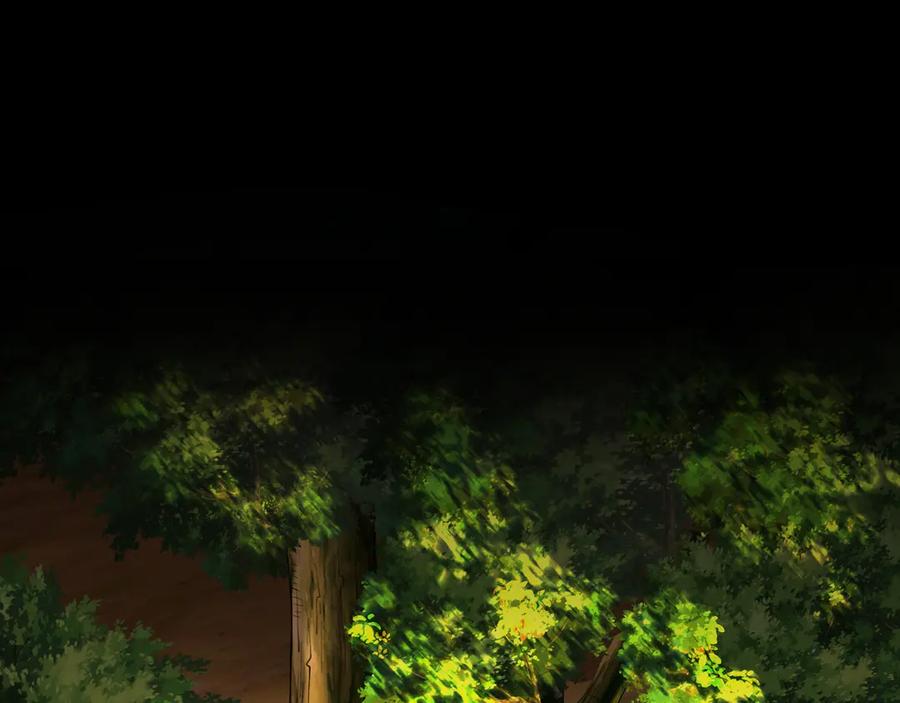 第260页