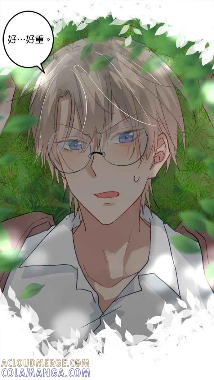 第61页