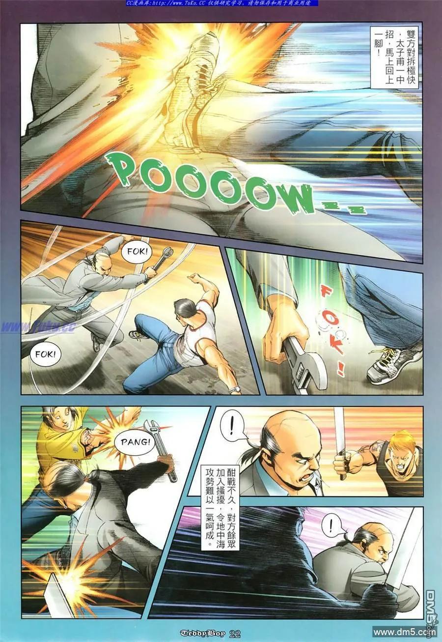 第20页
