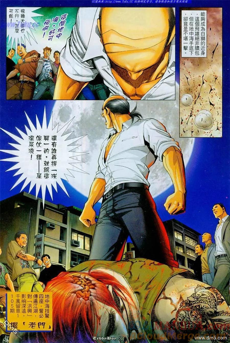第31页