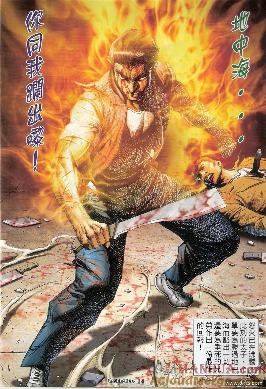 第13页