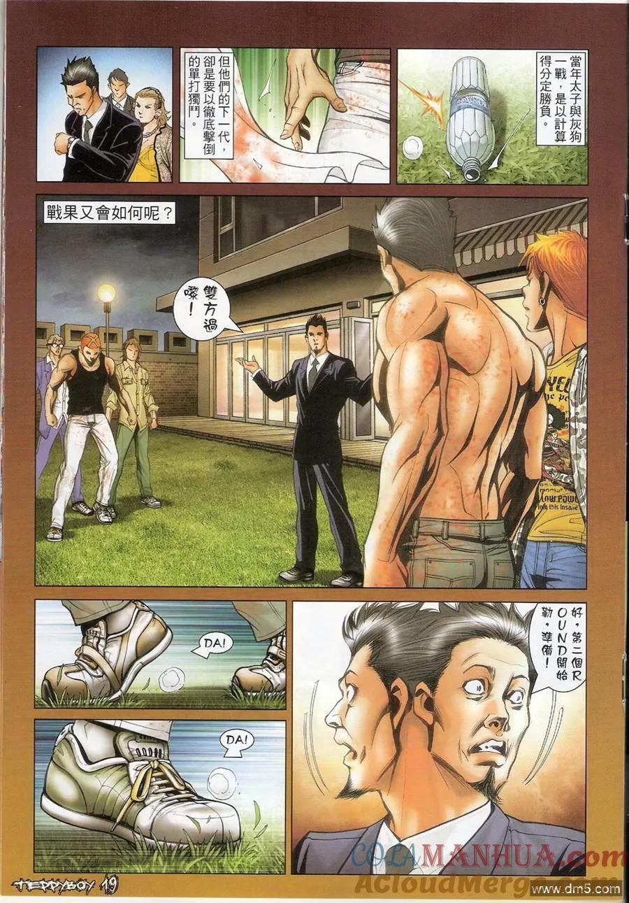 第17页