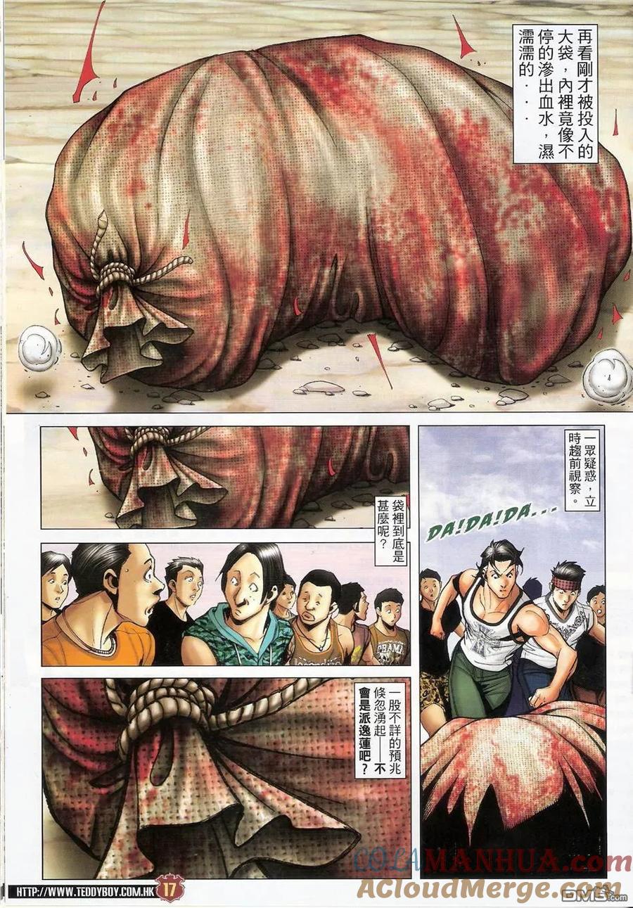 第17页